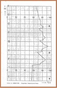 ciclo di cremazione: diagramma temperatura/tempo