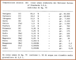 composizione chimica del corpo umano